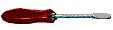 Screwed! screwdriver